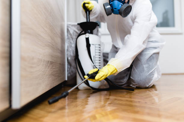 Best Best Pest Control Companies  in Saybrook On The Lake, OH