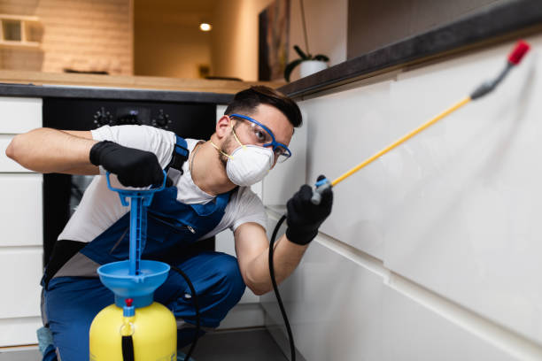 Best Best Pest Control Companies  in Saybrook On The Lake, OH