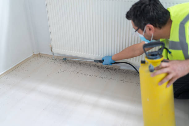 Best Bed Bug Extermination  in Saybrook On The Lake, OH